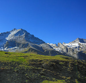 Trektocht-Sport-Natuur